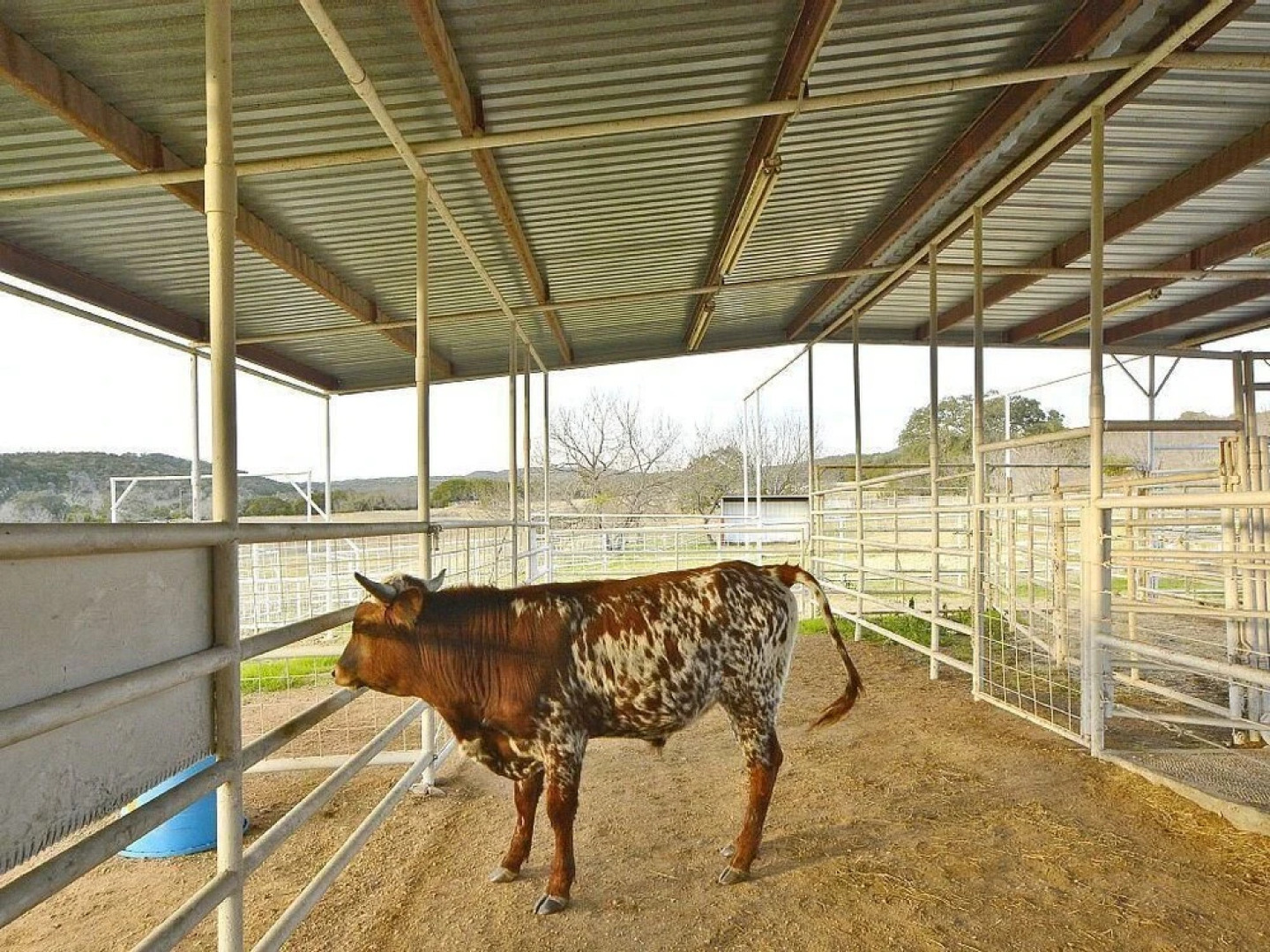 The Ranch at Cow Creek, a Luxury Experience for Groups and Events