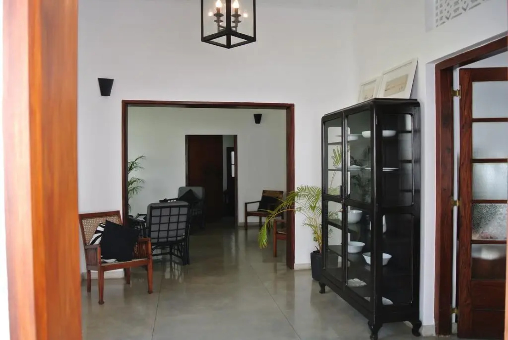 "27" Spathodea- Oasis in the City