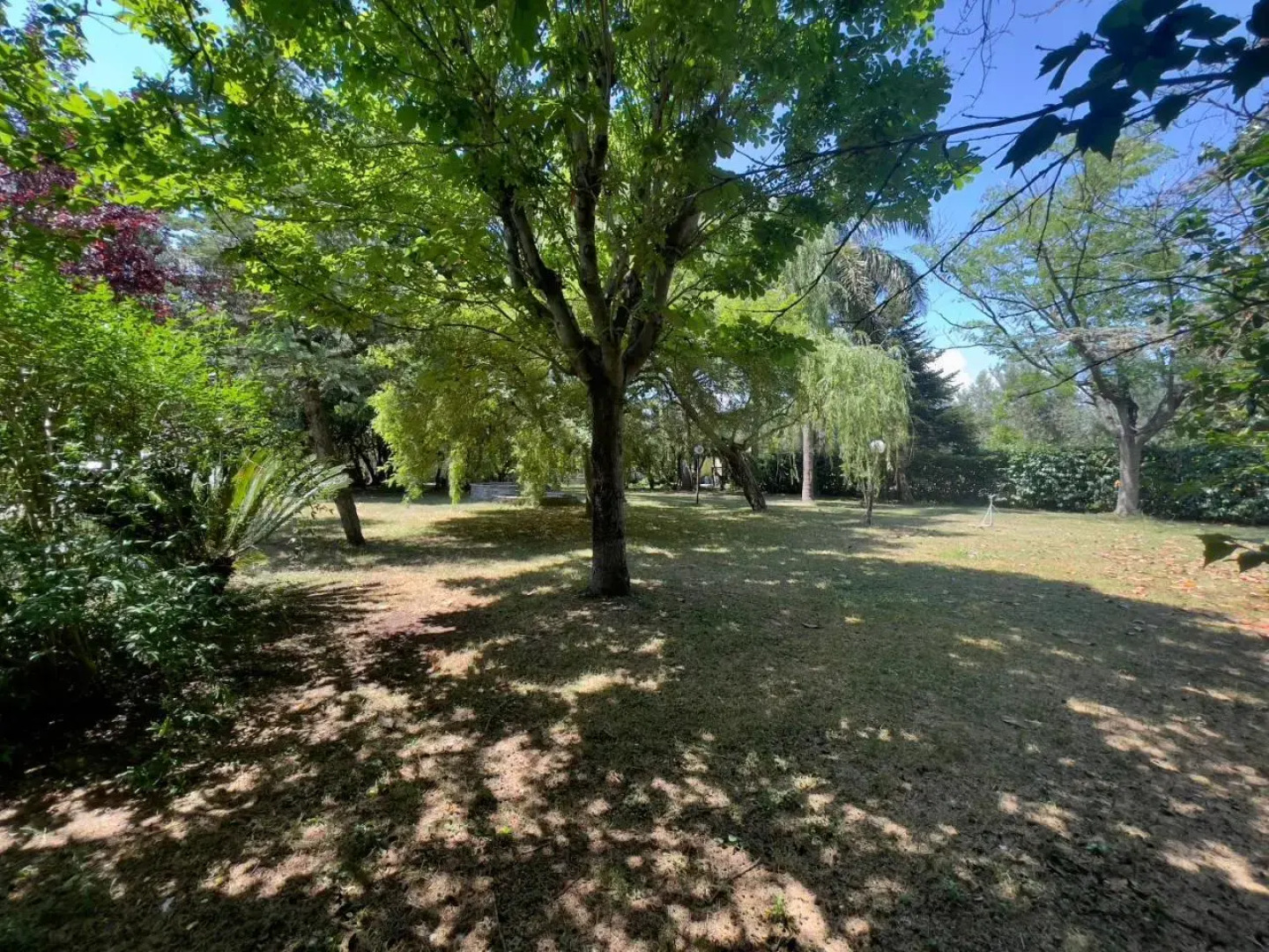 Camelie Apartment by Agriturismo Al Gallo Verde