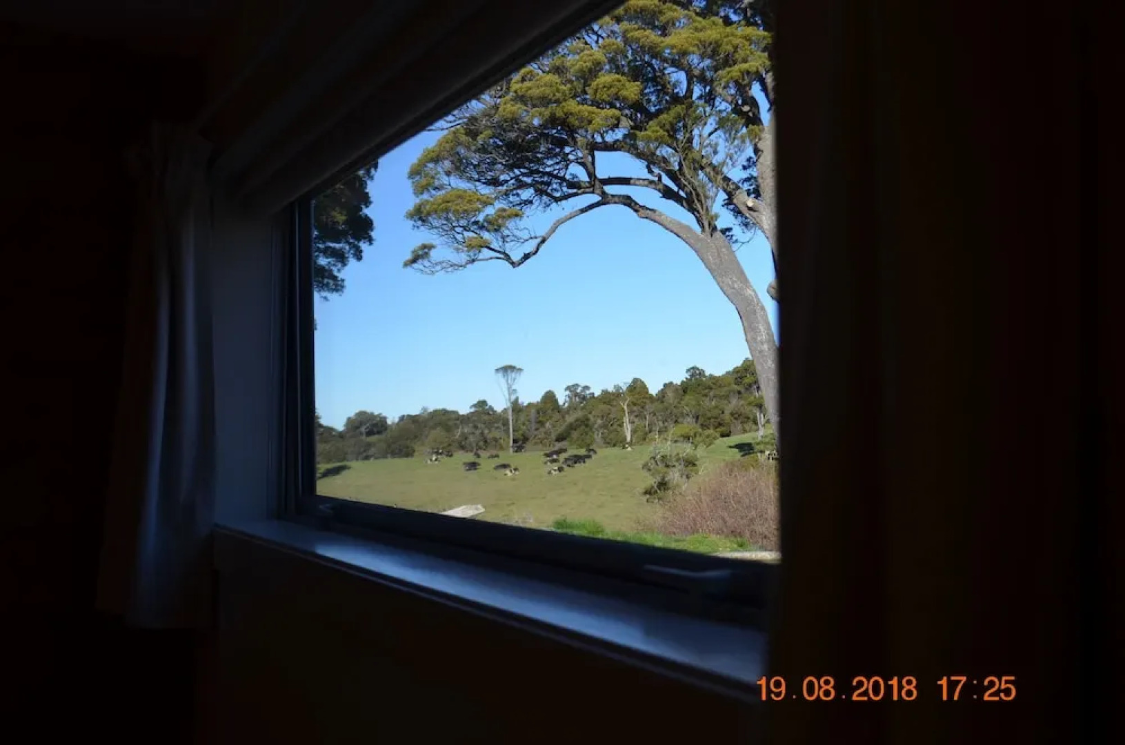 The Cloan At The Catlins