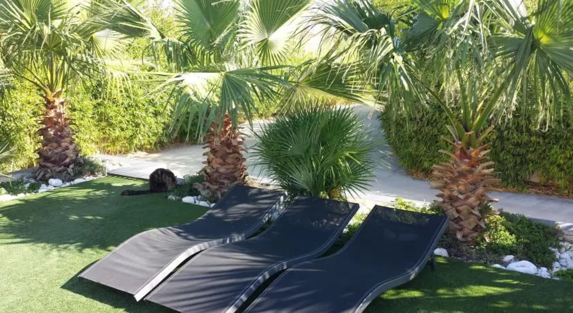 Villa Des Cortaderias