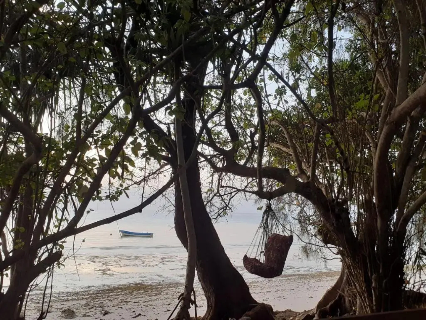 Gecko Nature Lodge & Swahili Divers