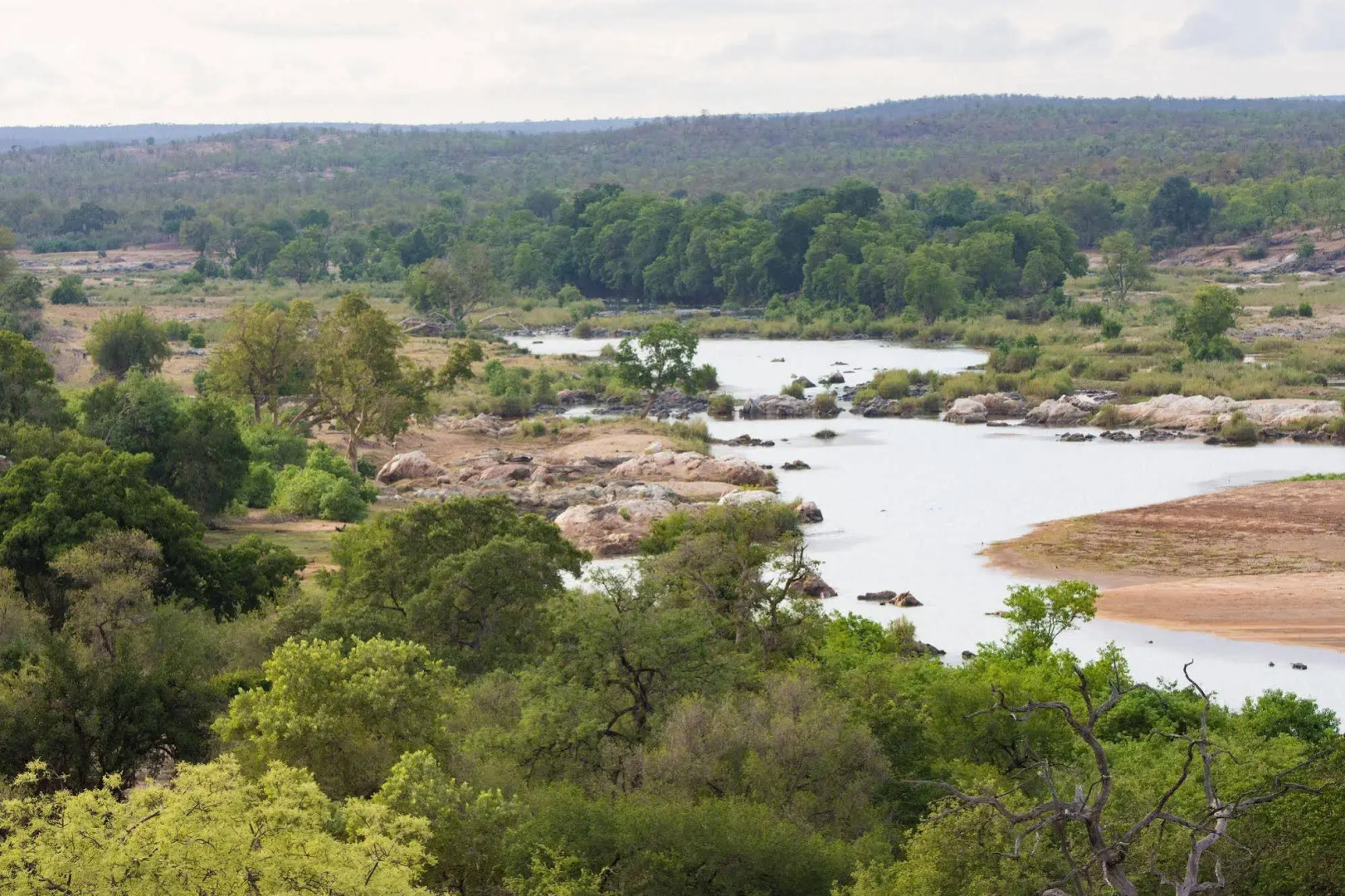 Sefapane Lodges and Safaris