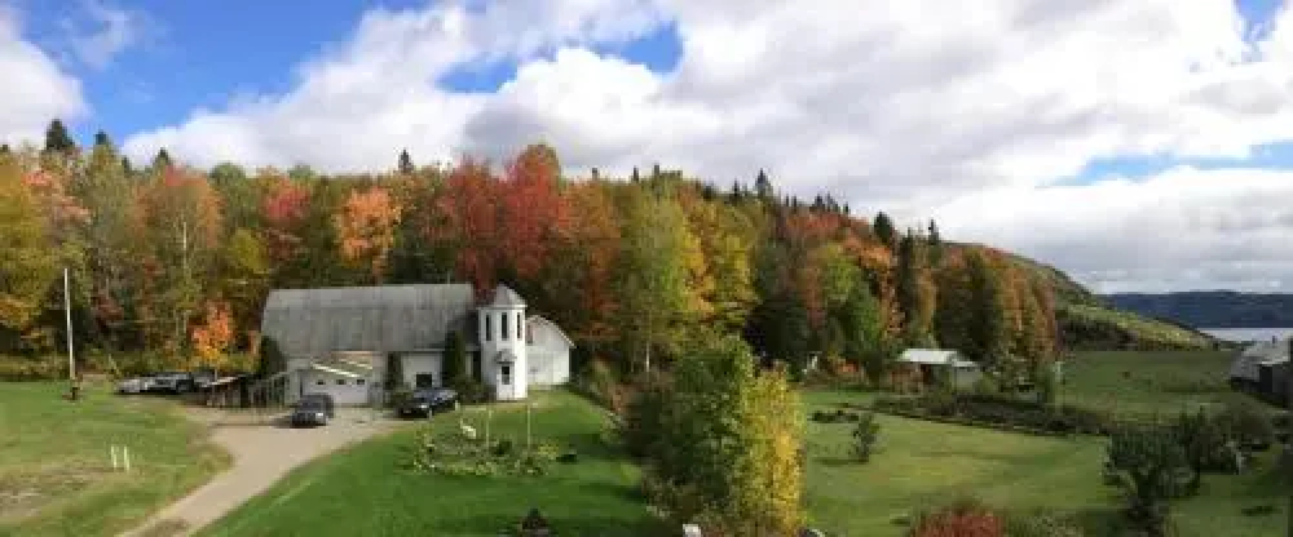 The Rustic House of the Fjord