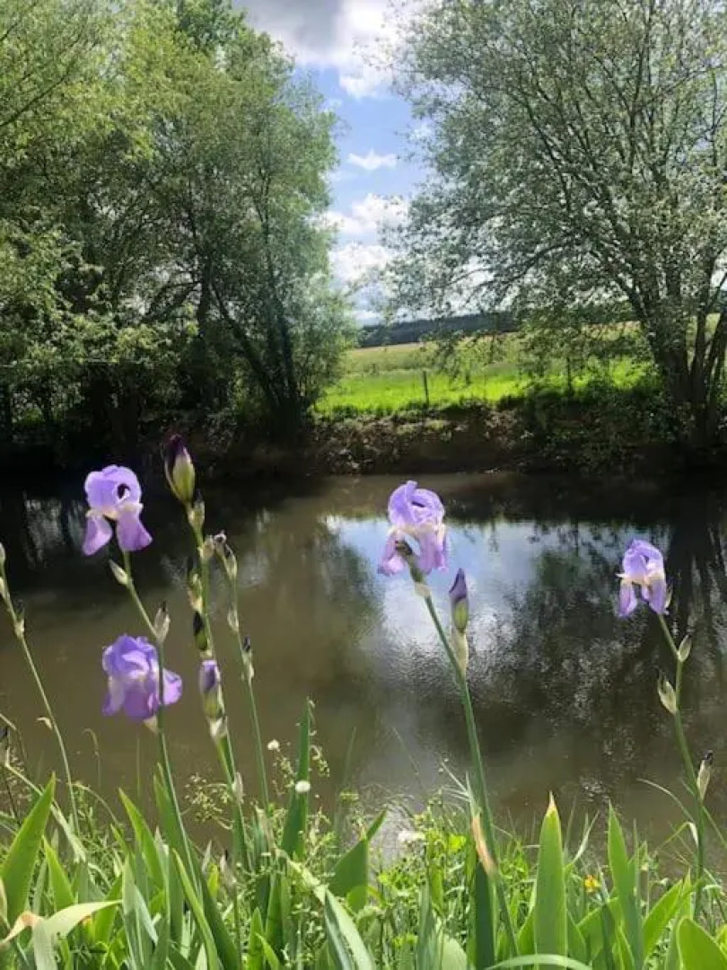 Sainte Suzanne gite de LA CHARRETERIE