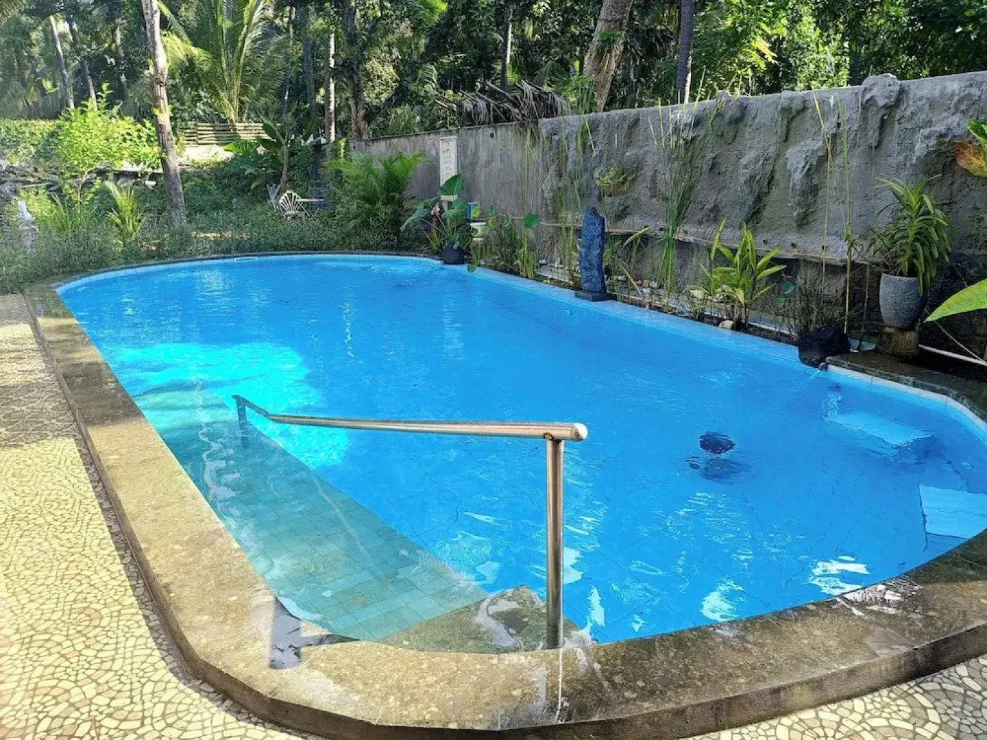 gallerycookery mermaid