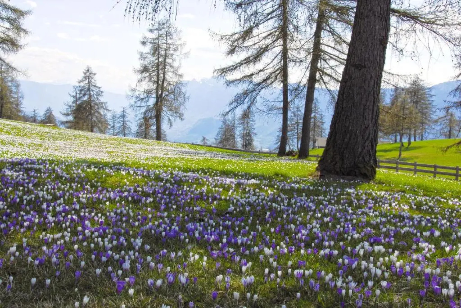 Appartements Peilerhof