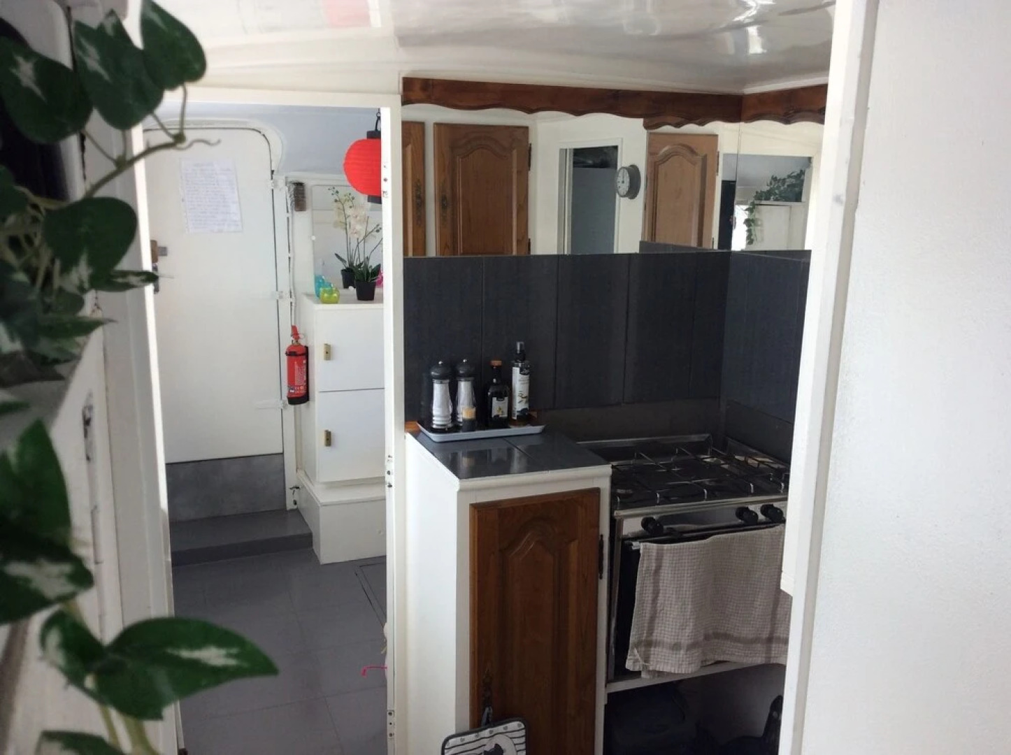 Penichette Oiseau Bleu