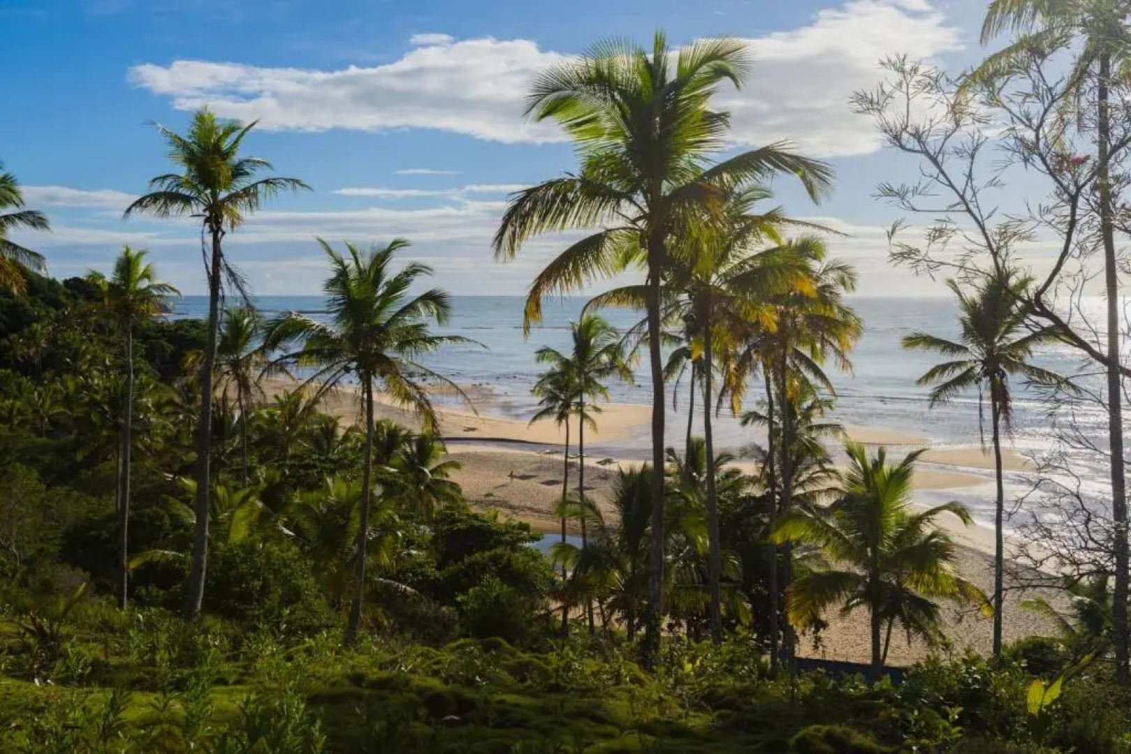 Hotel Calá & Divino