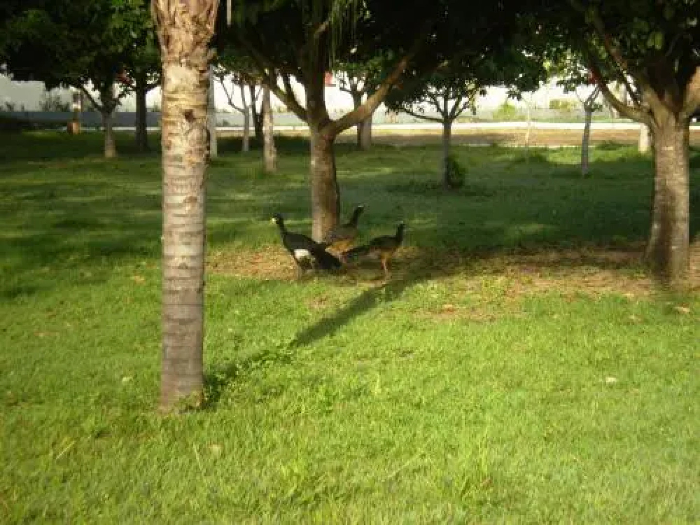 Hotel Thermas Lagoa Santa