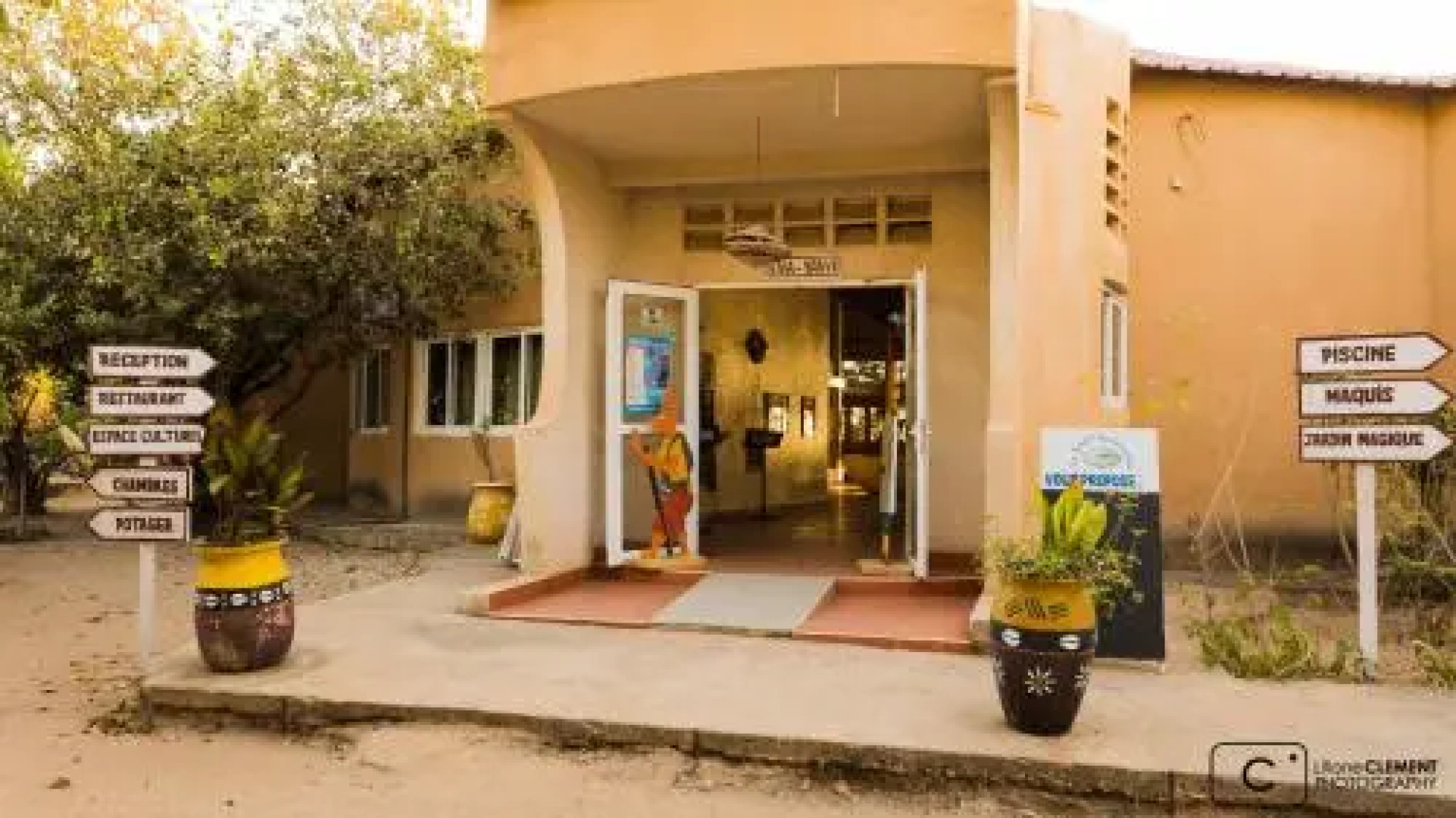 La source aux lamantins