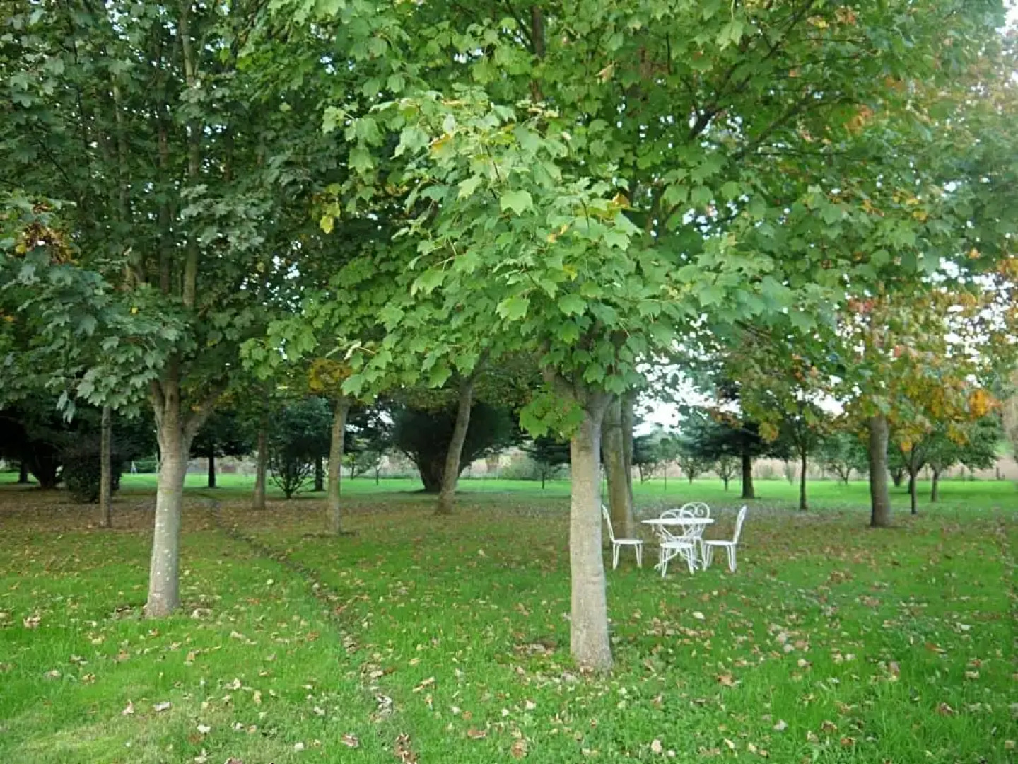 Chambres d'Hotes Les Sageais