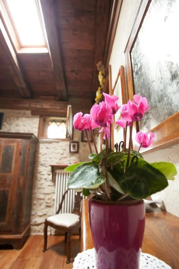 B&B Asolo Casa Pagnano