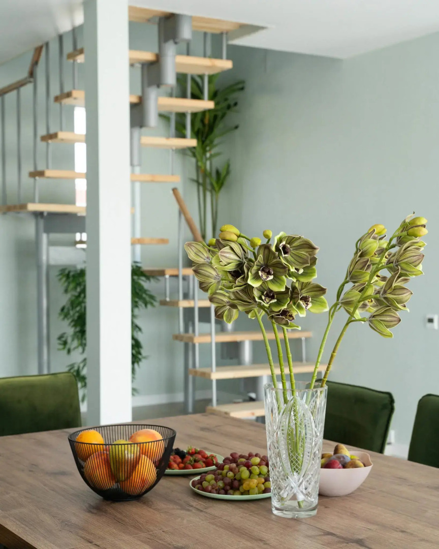 Elephant Home (Элефант Хоум)