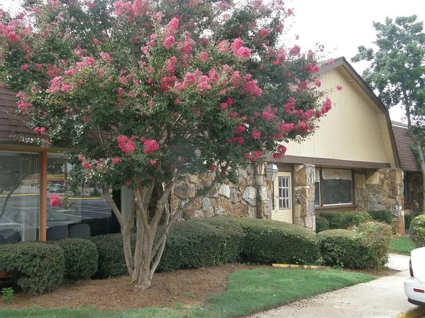 The Economy Inn - Wesley Chapel
