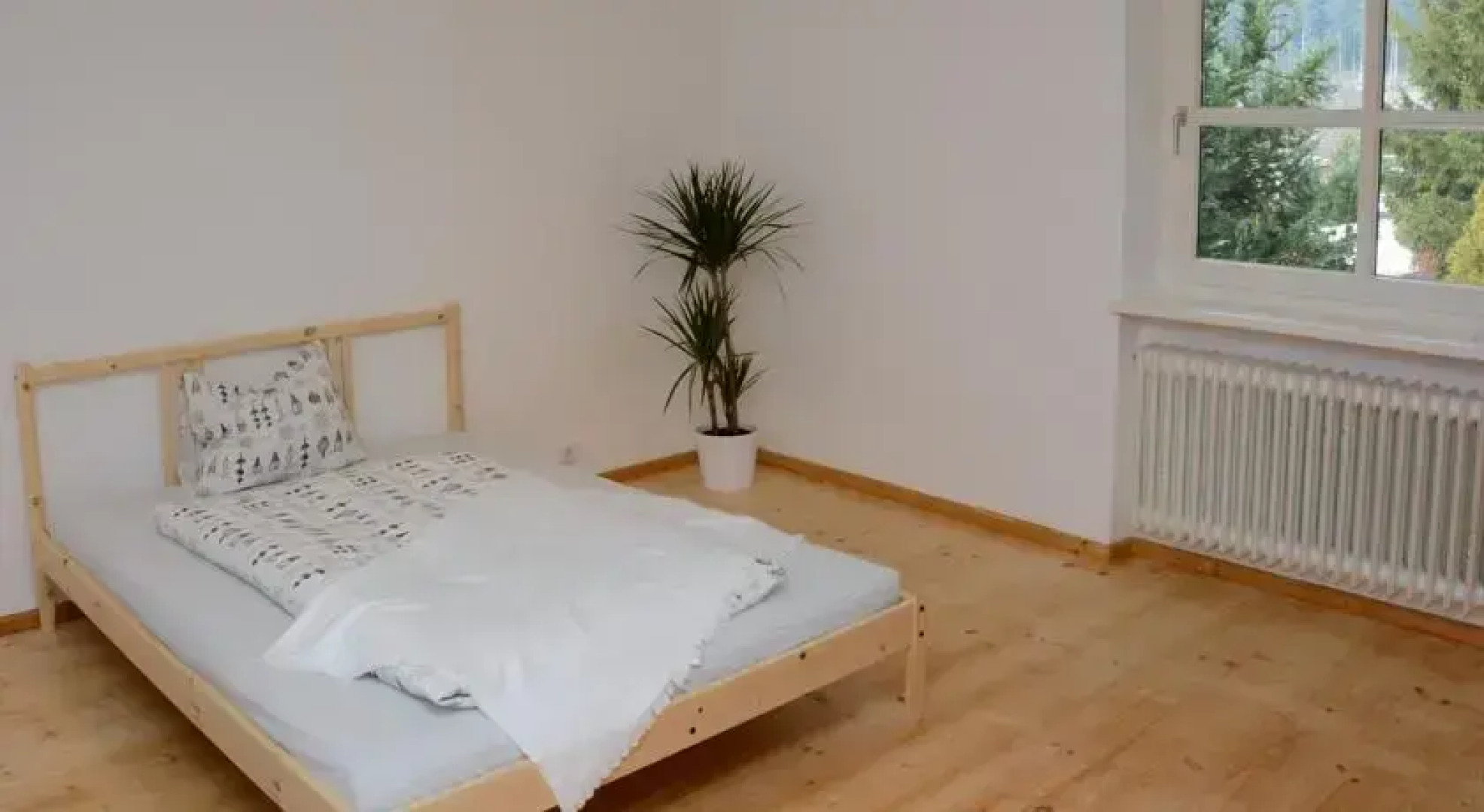 Jacks Lake & Mountain (JLM) Hostel