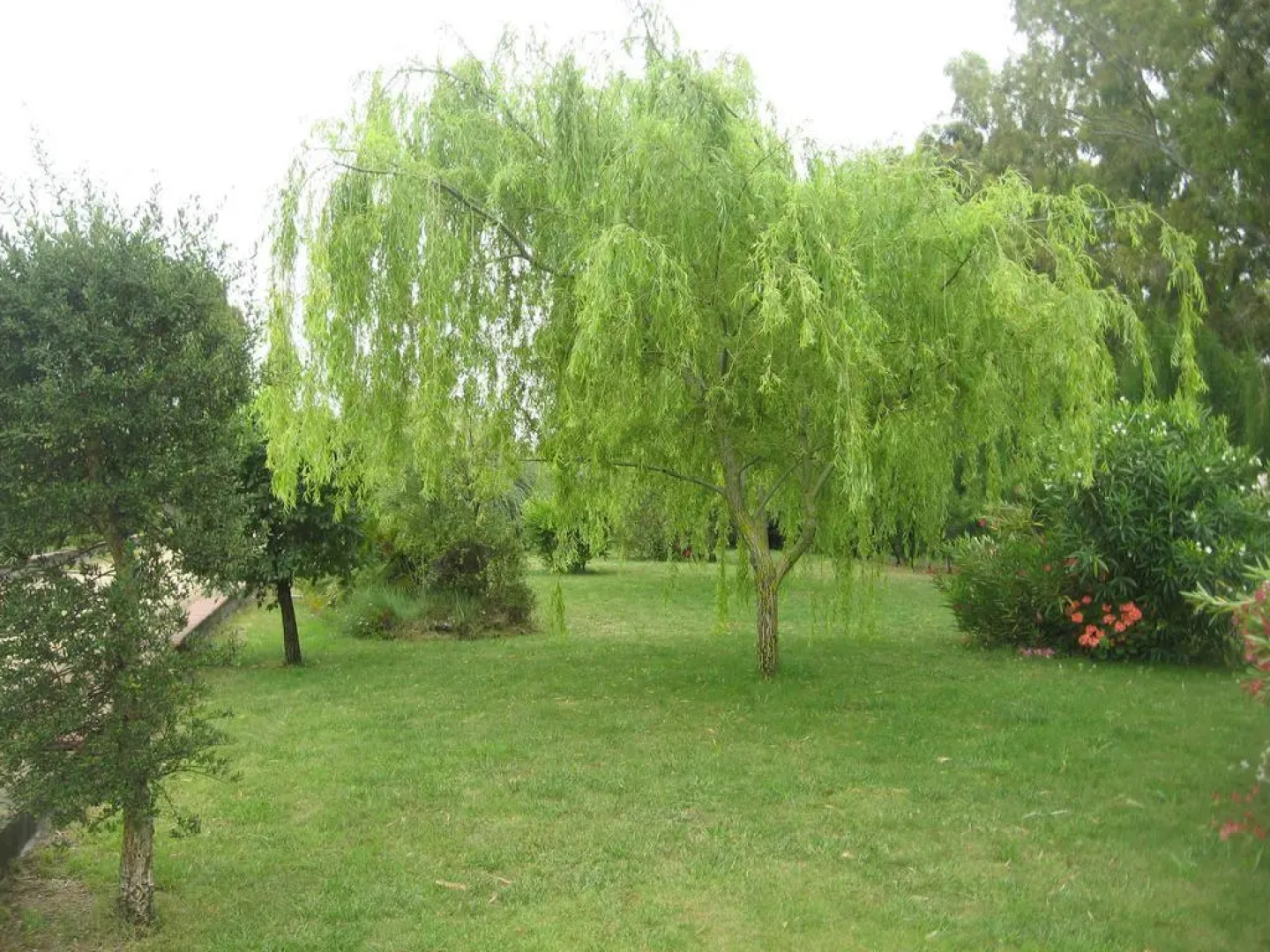 Locanda il Trovatore