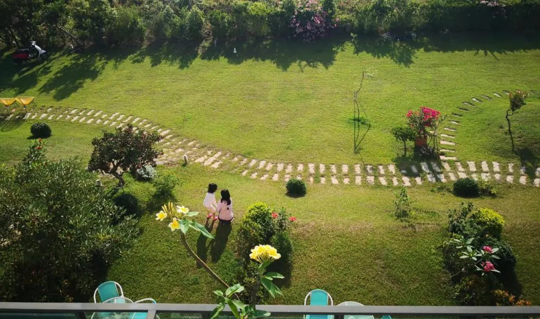 The Tree Bed and Breakfast