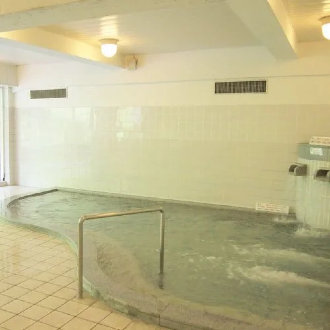Nibukawa Onsen Hotel