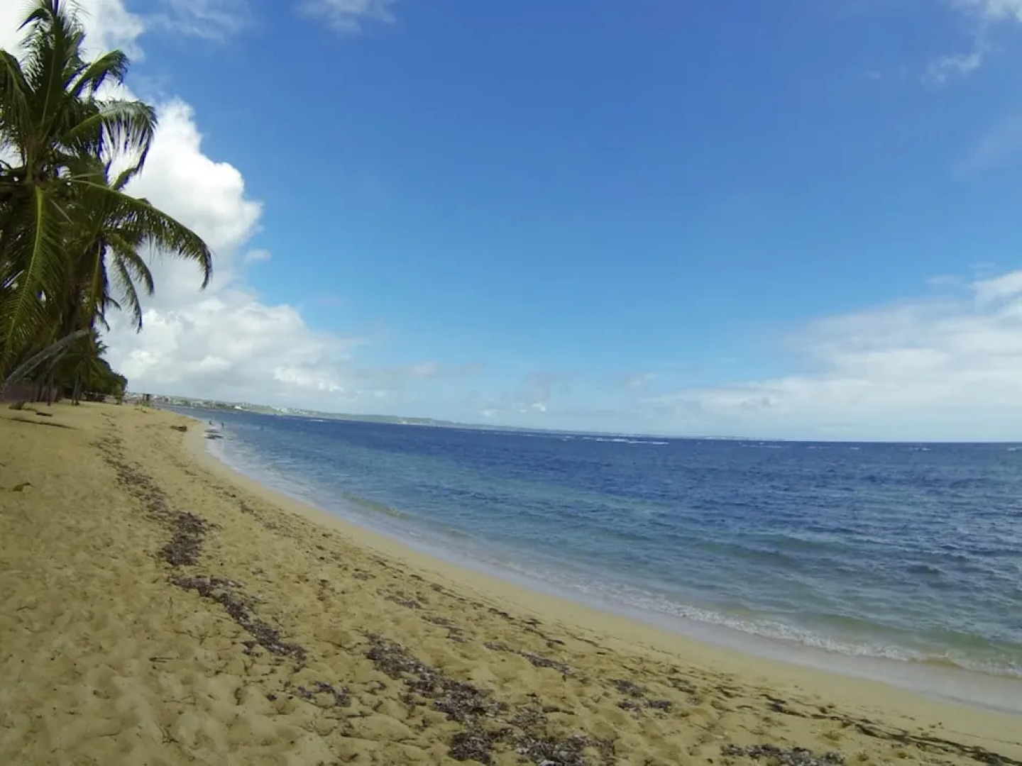 Studio in Le Moule, With Terrace and Wifi - 50 m From the Beach