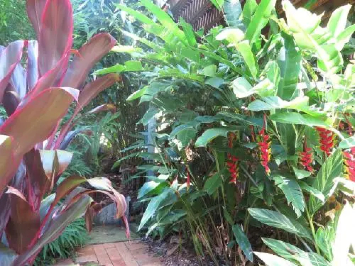 Babbling Brook Retreat