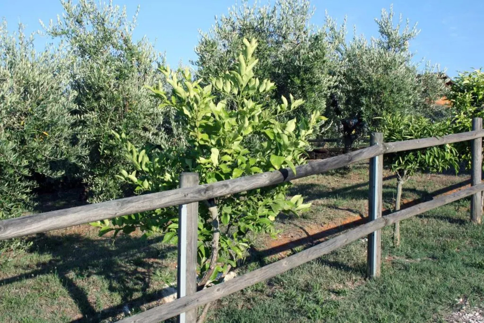 INTiO  natural home concept