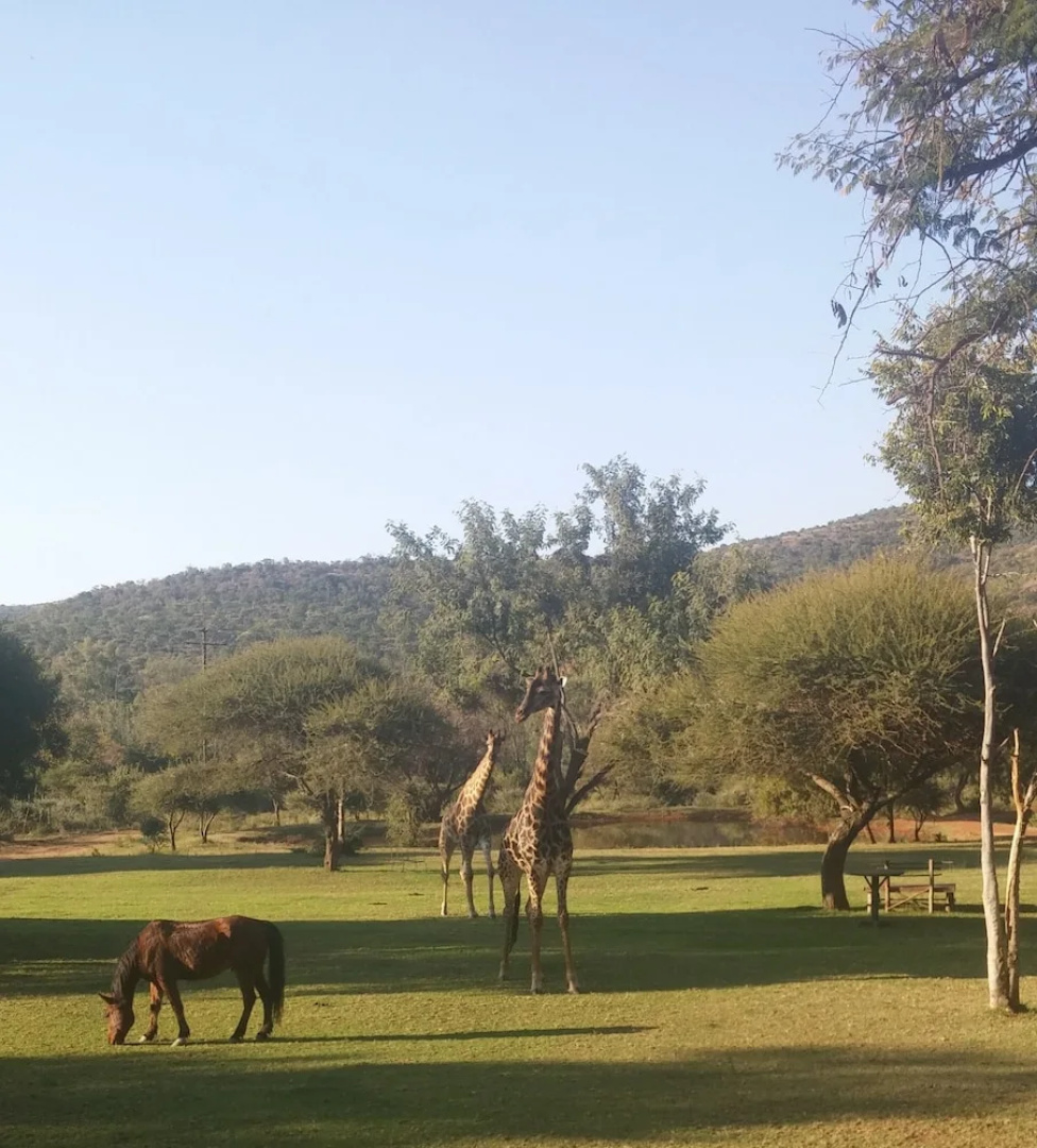 Thandile Country Lodge