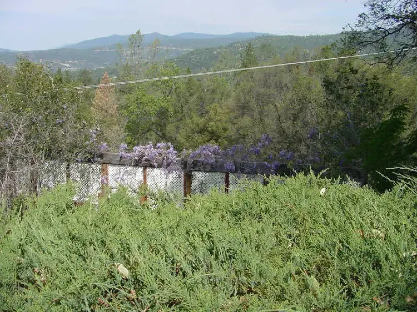 Vultures View Bed and Breakfast