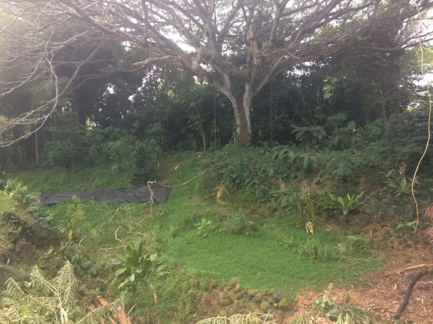 SweetSpotStay-Enchanted Grotto