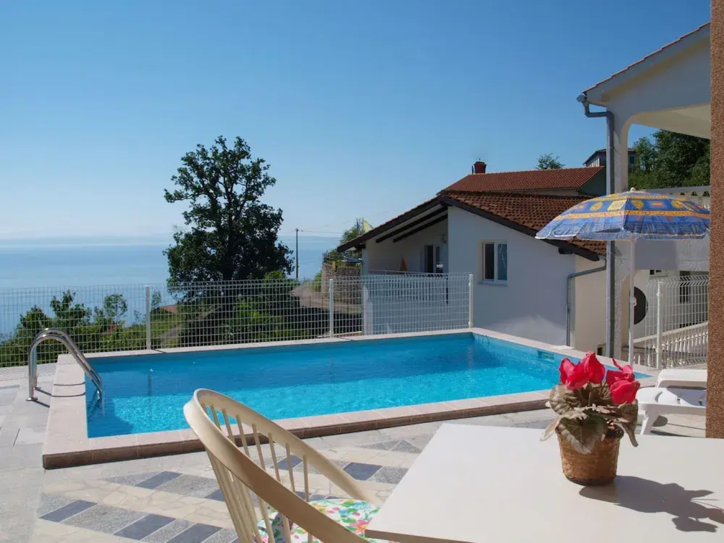 Laurus Tuli Evica in Tuli Evica