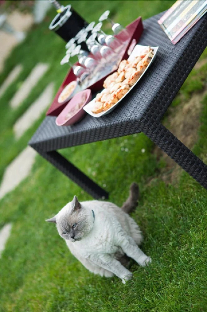 Chambres dhôtes Larroquinière