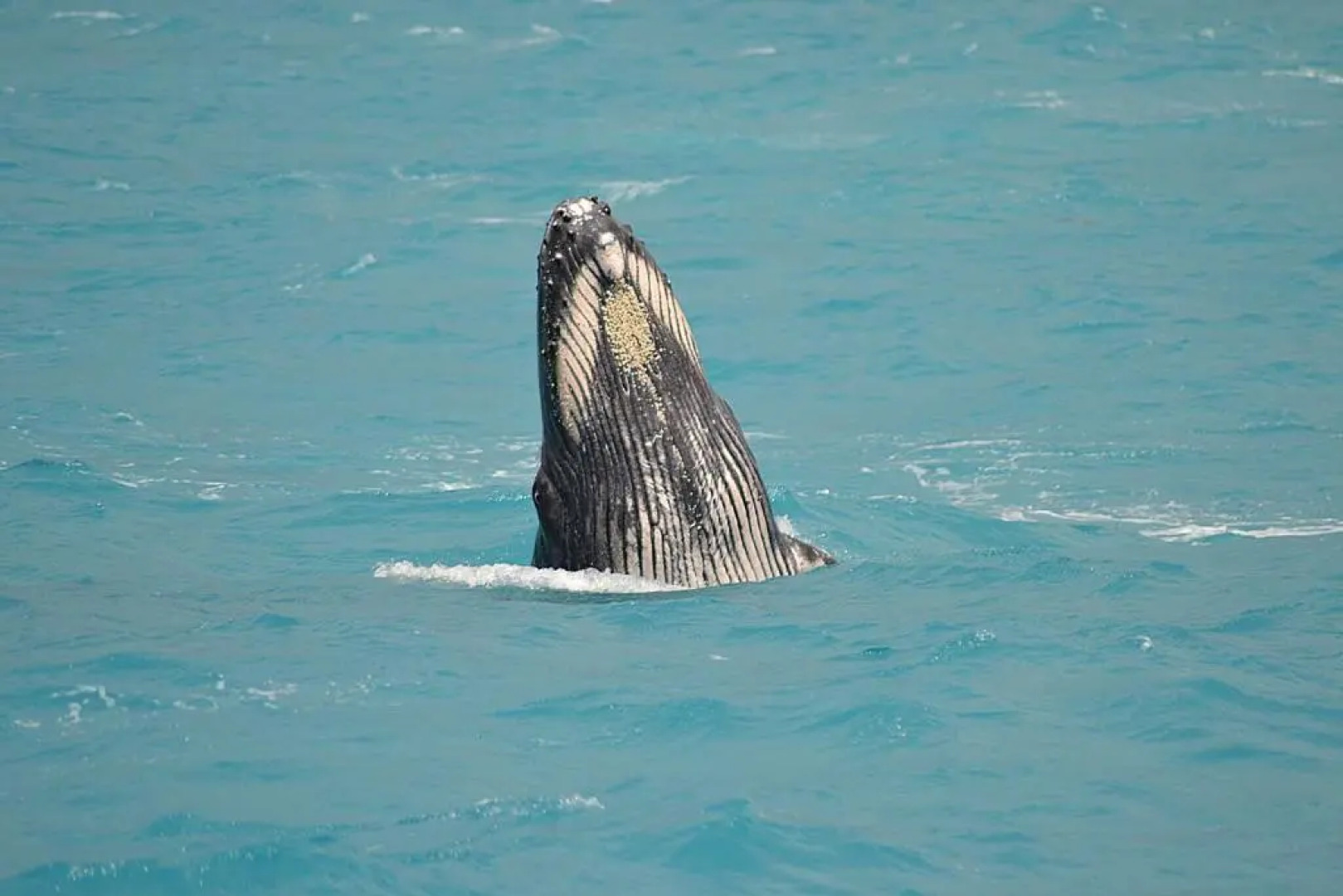 pousada corais de abrolhos