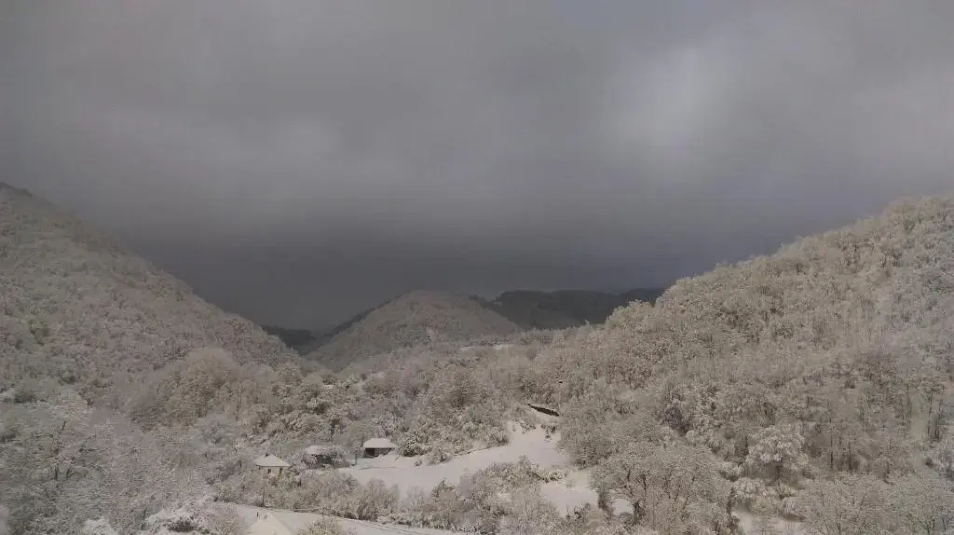Stara Planina Stankovic