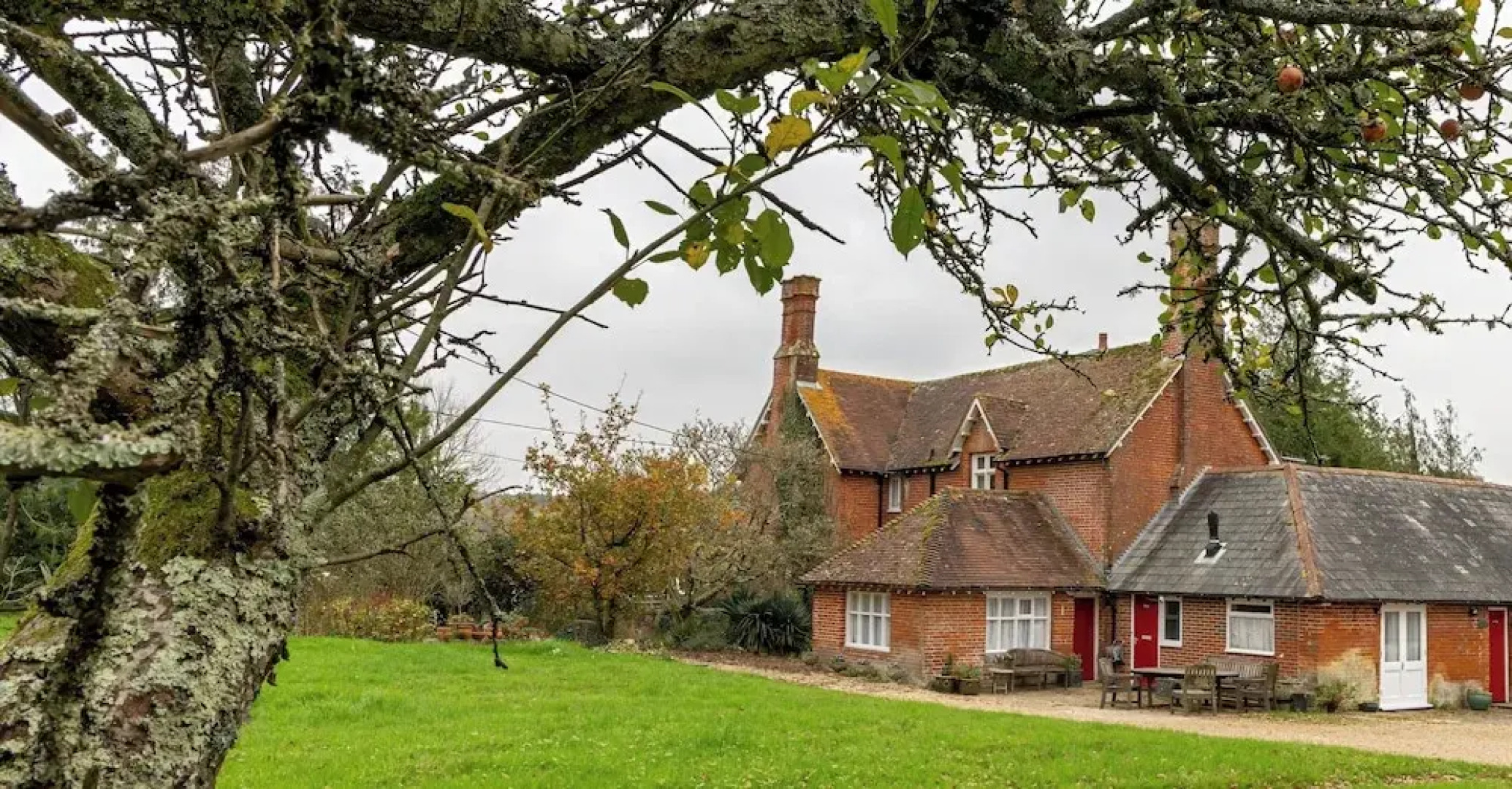 Tranquil Forest Retreat in Brockenhurst