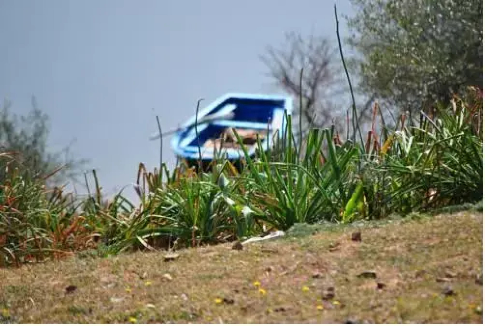 Auberge Ranch Des Oliviers