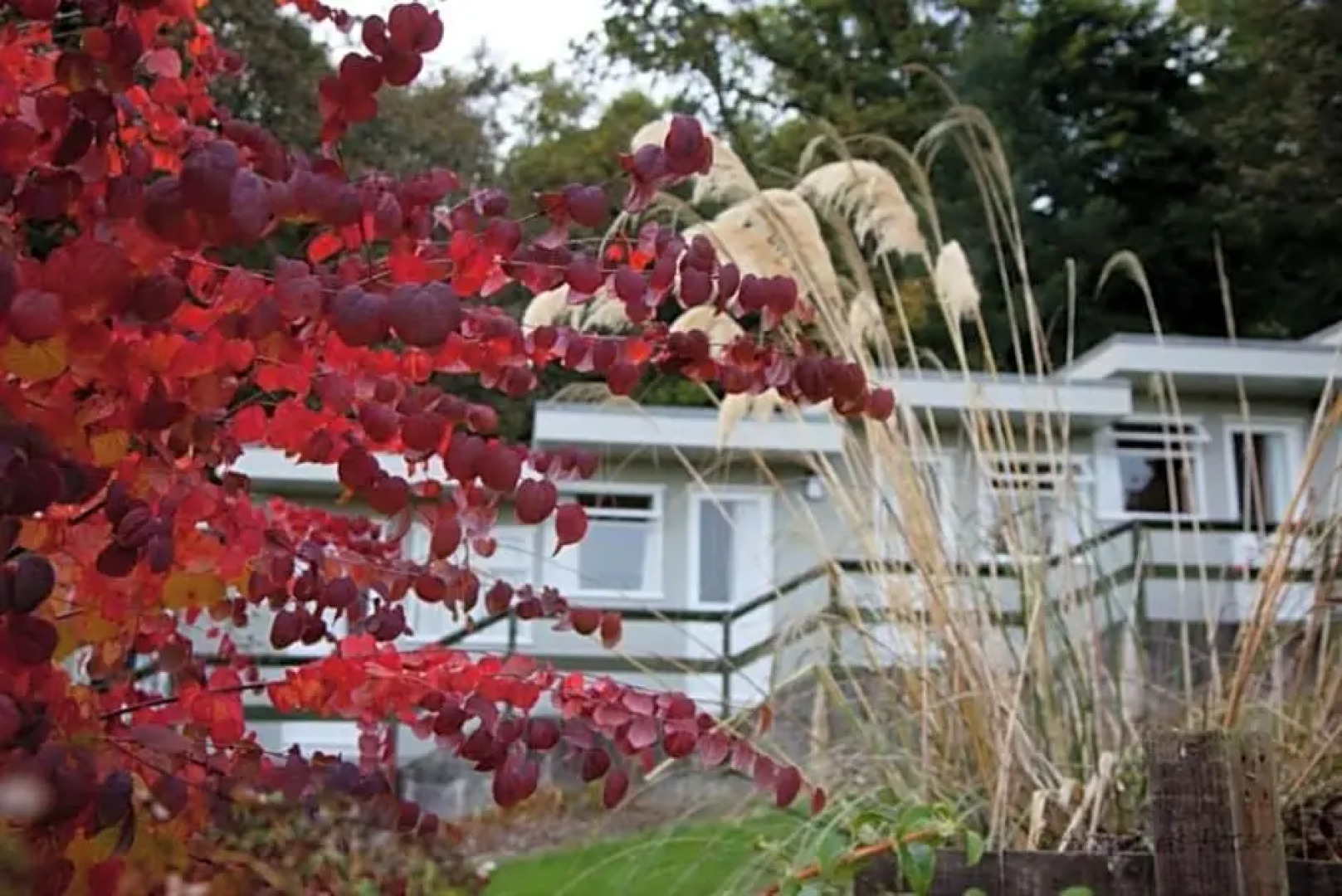 Altachorvie Island Retreat