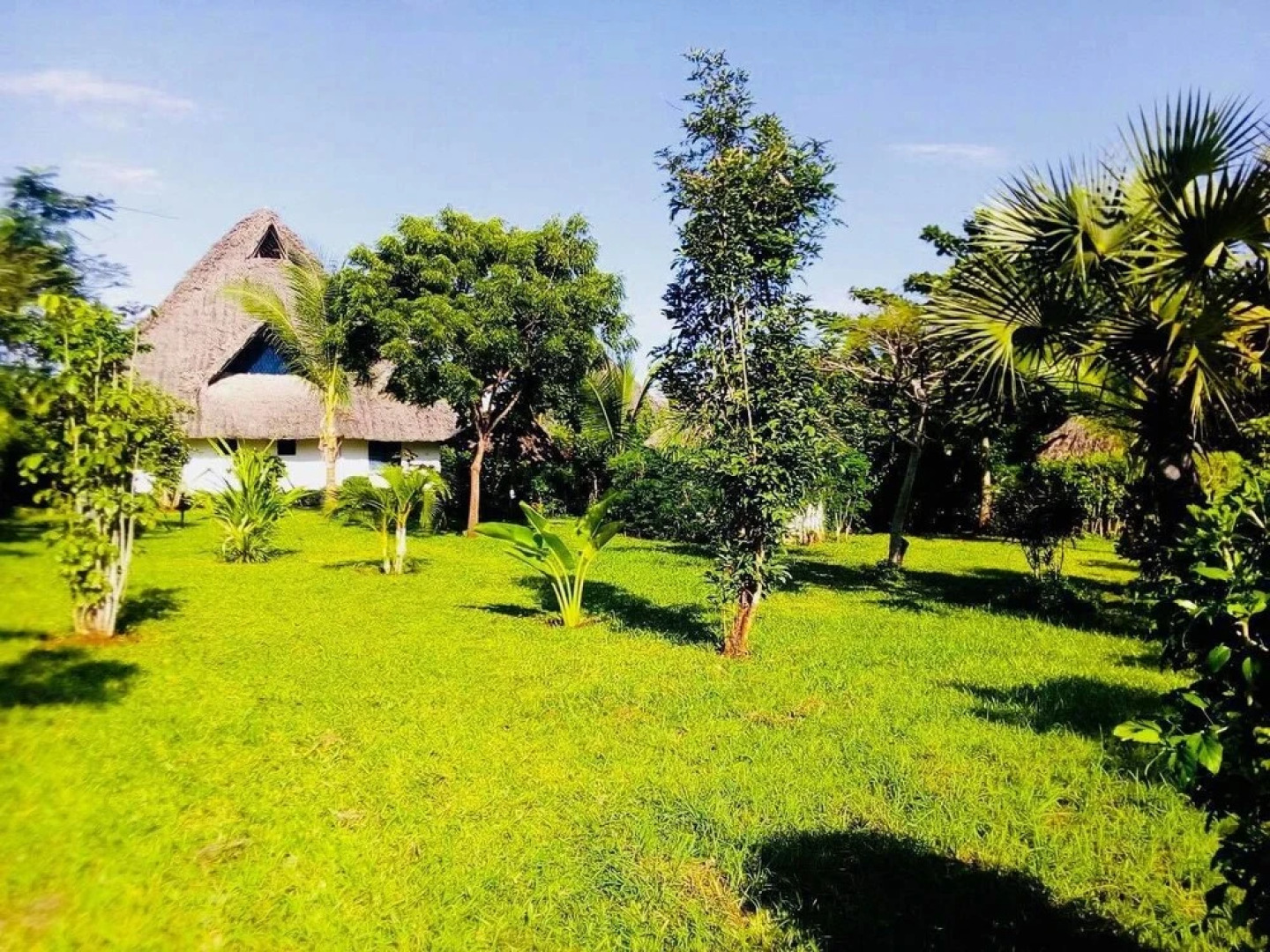 Villa Dora and Holly