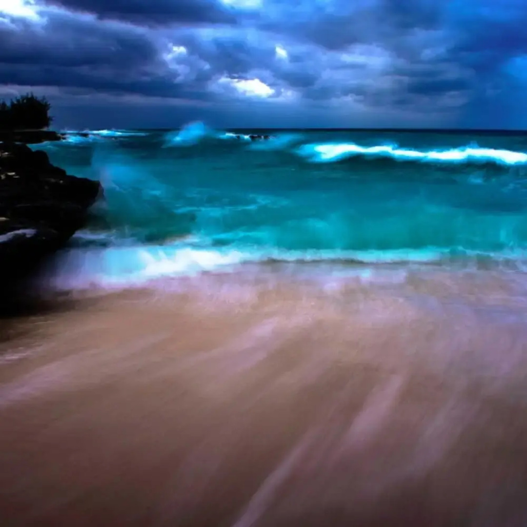 3 Suites Free Breakfast Steps to Beach