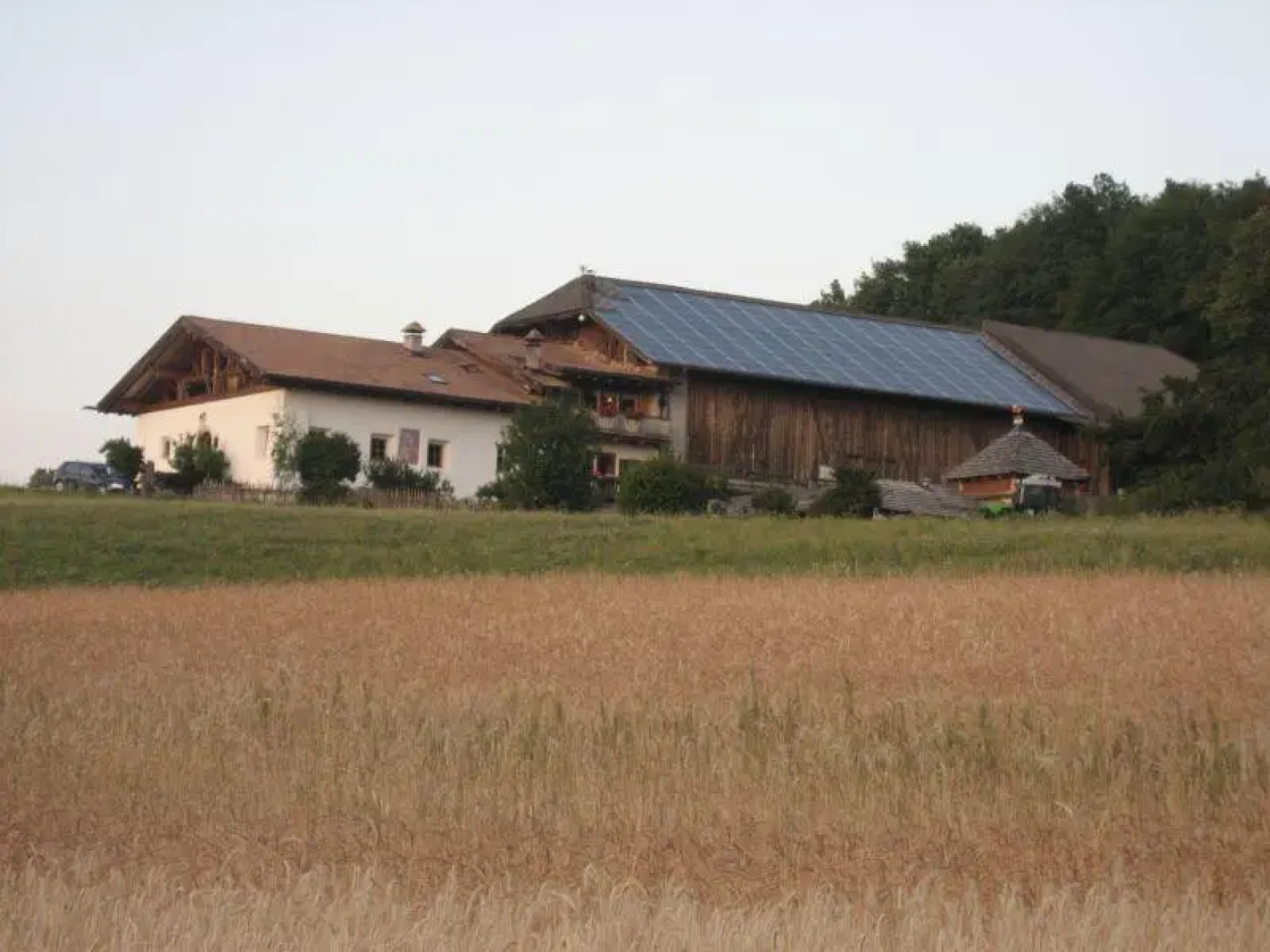 Salmsein Biohof / Azienda Biologica