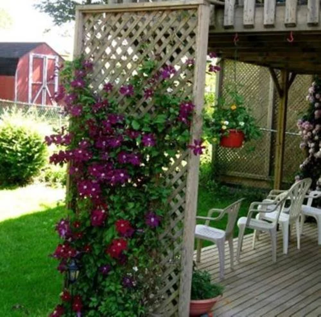 Braeside Court B&B