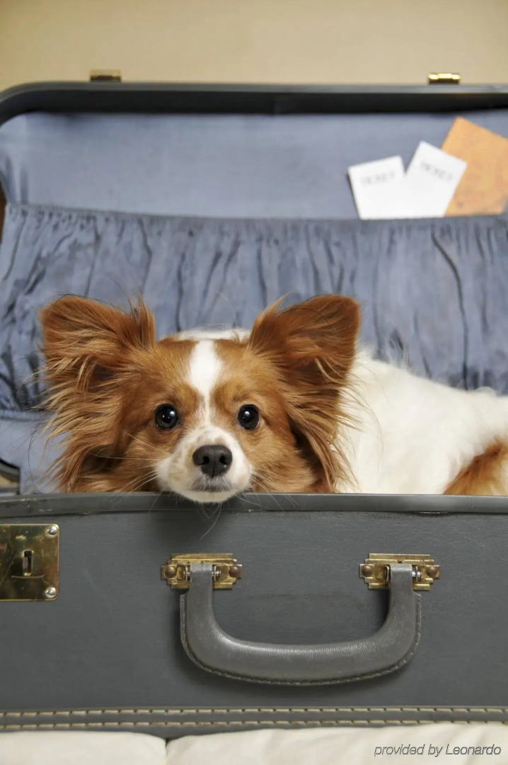 Prestige Oceanview Hotel Prince Rupert