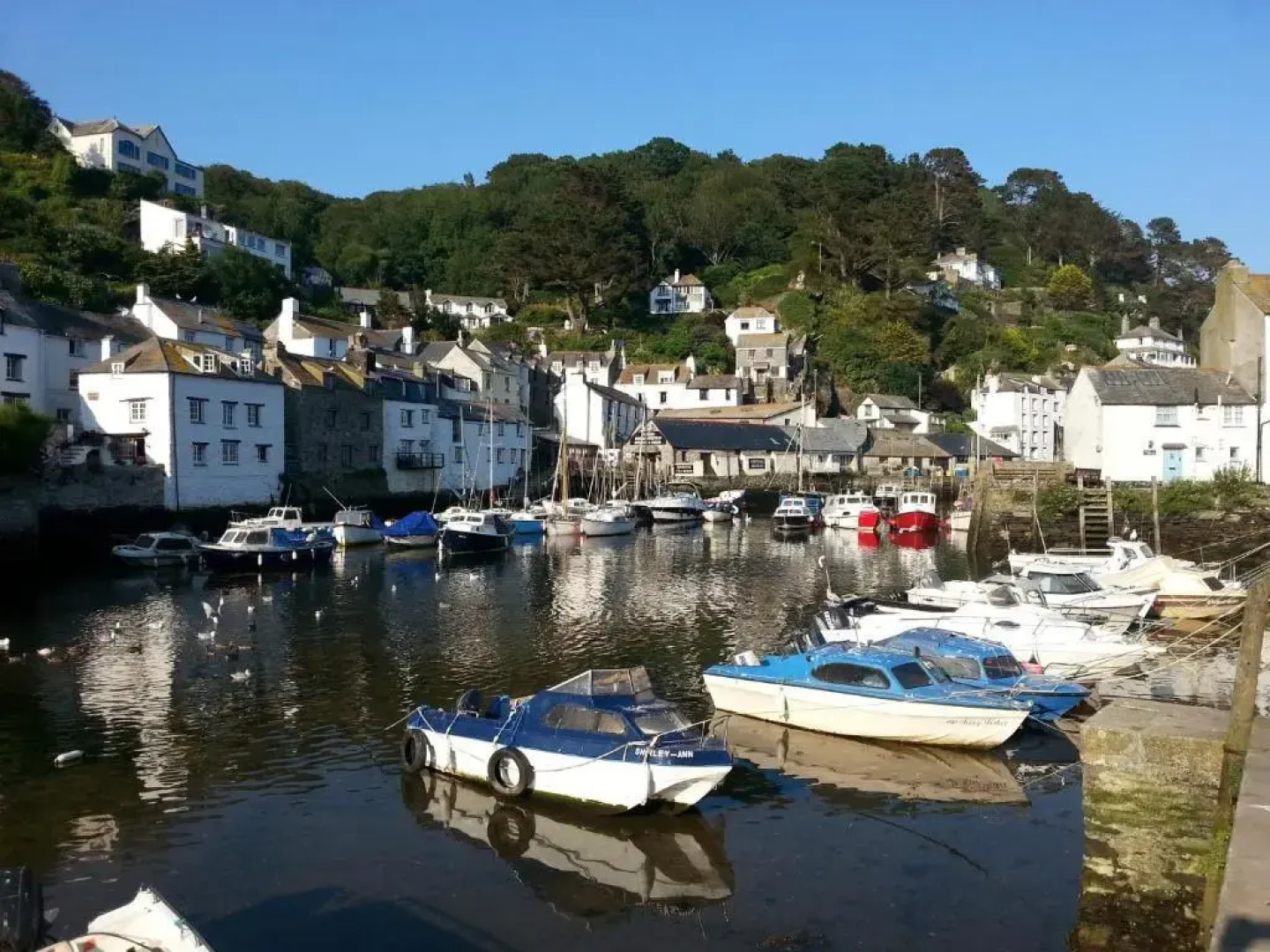 The Cottles B&B/Holiday Apartments