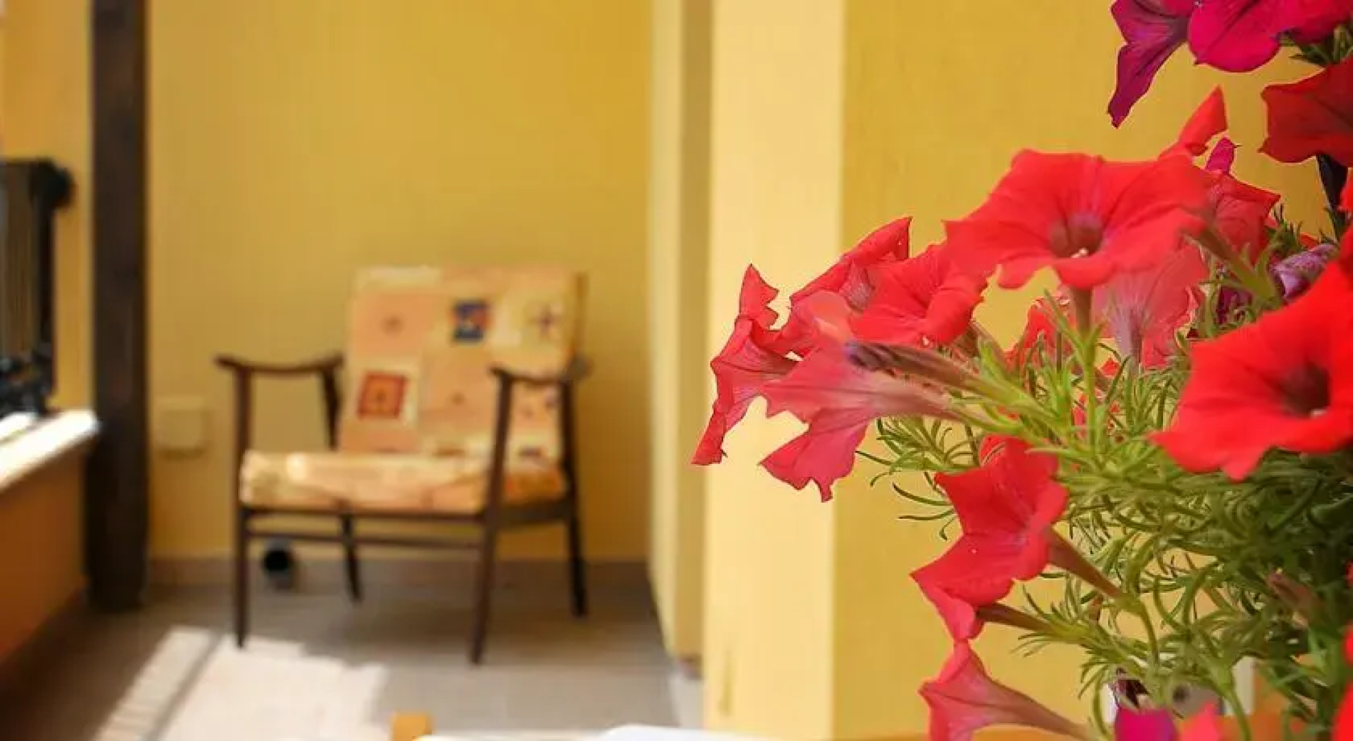 B&B Supersanosalento