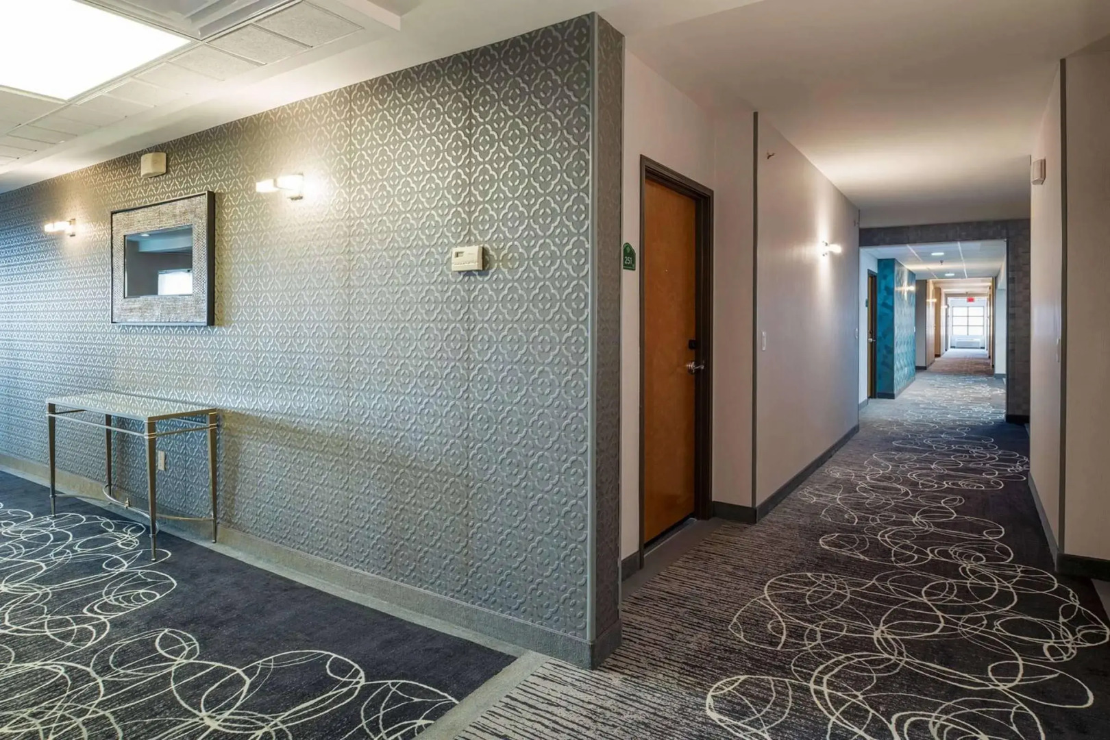 Wingate By Wyndham Chihuahua