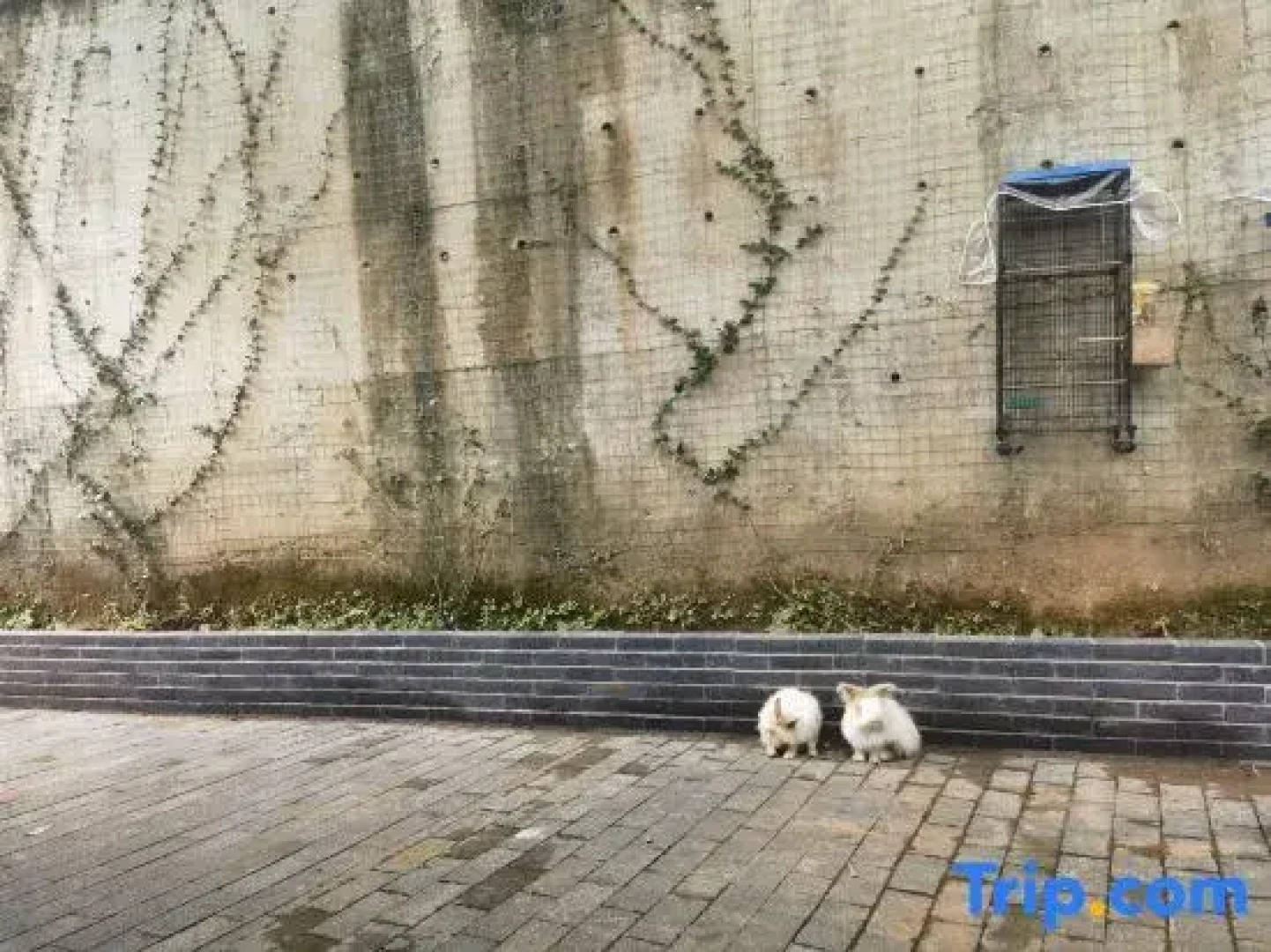 Yichun Xiyuan Linshe Homestay