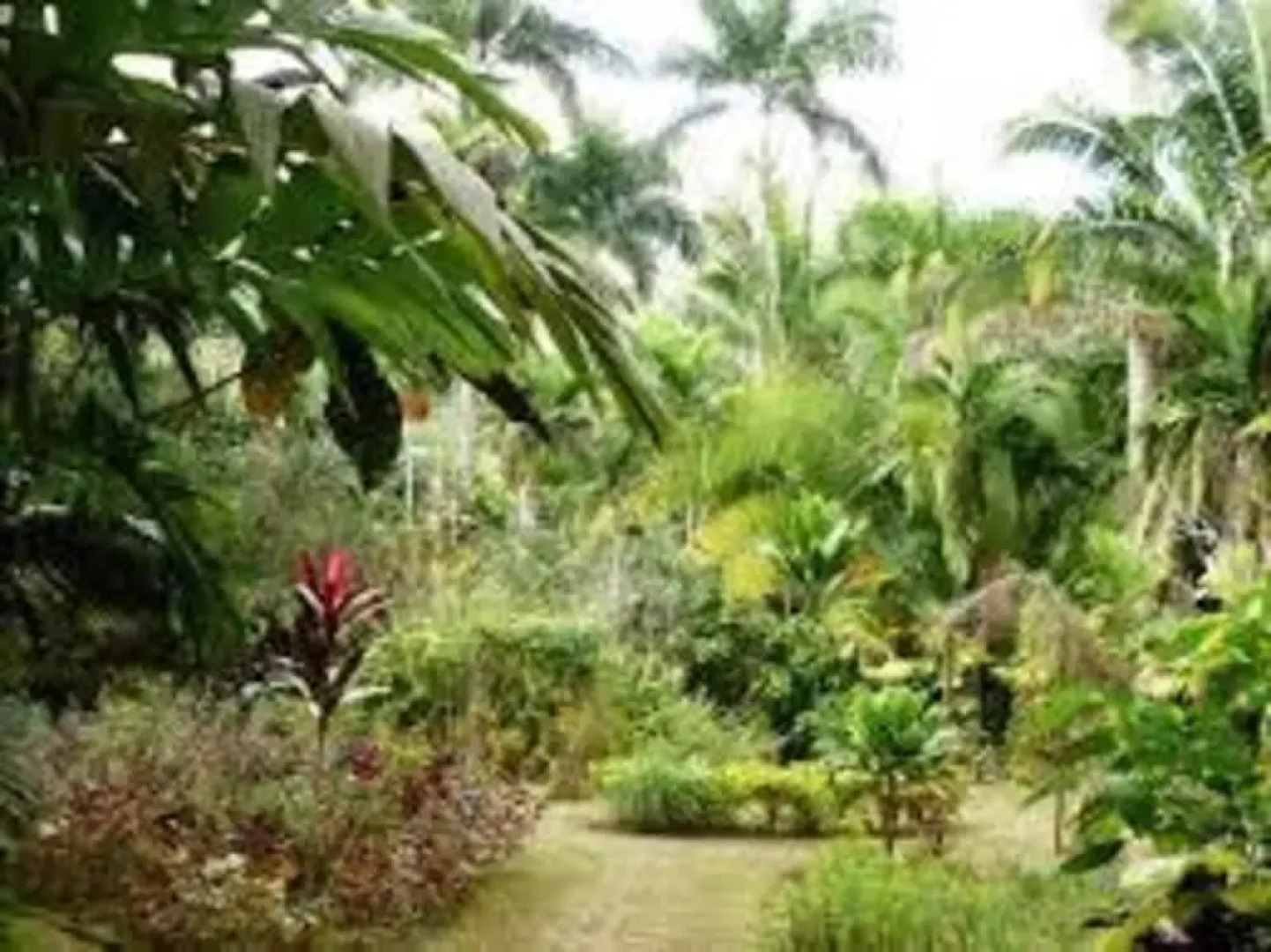 Bamboo - Sleeps 6 - Garden - Parking