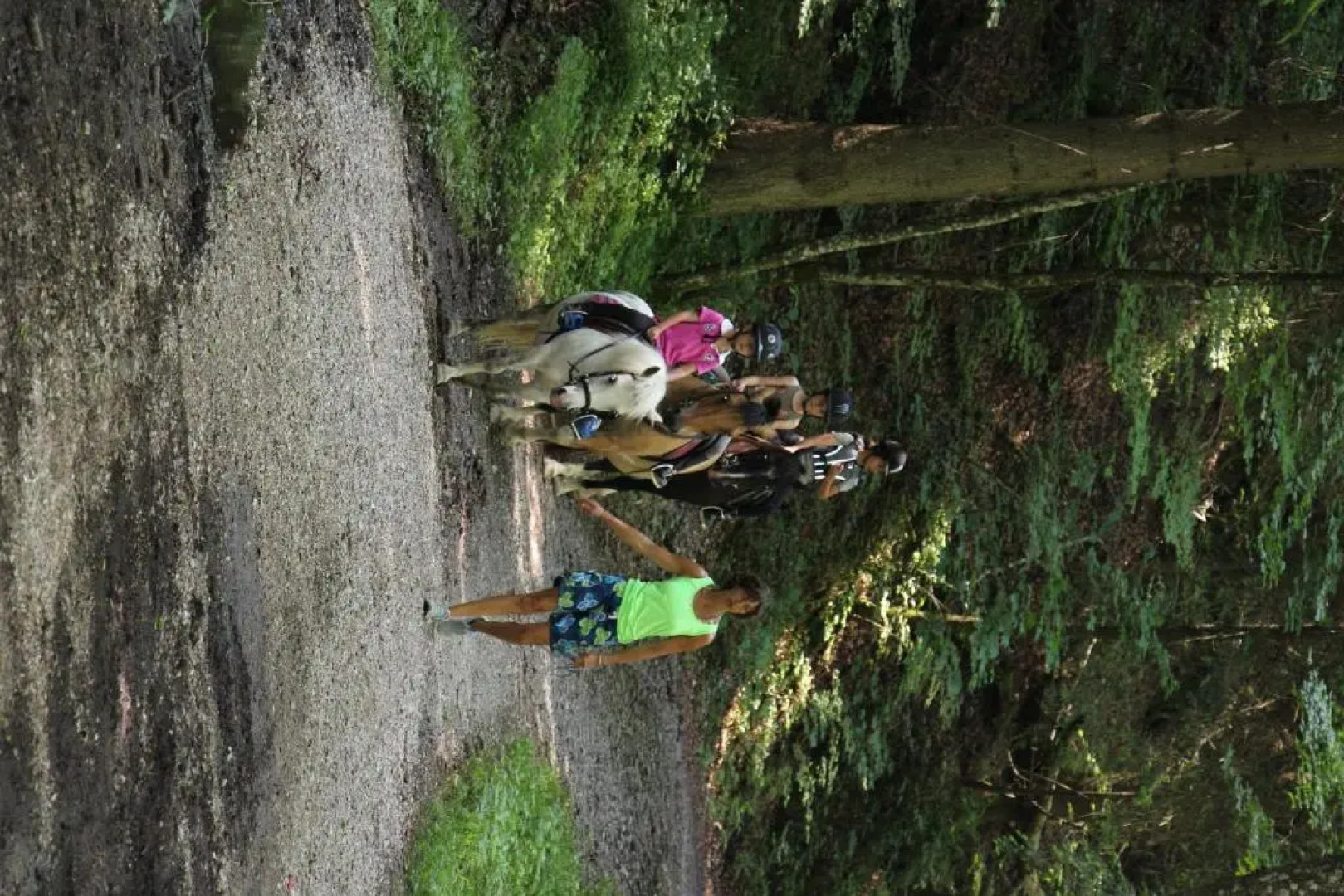 Hôtel Club le Crêt