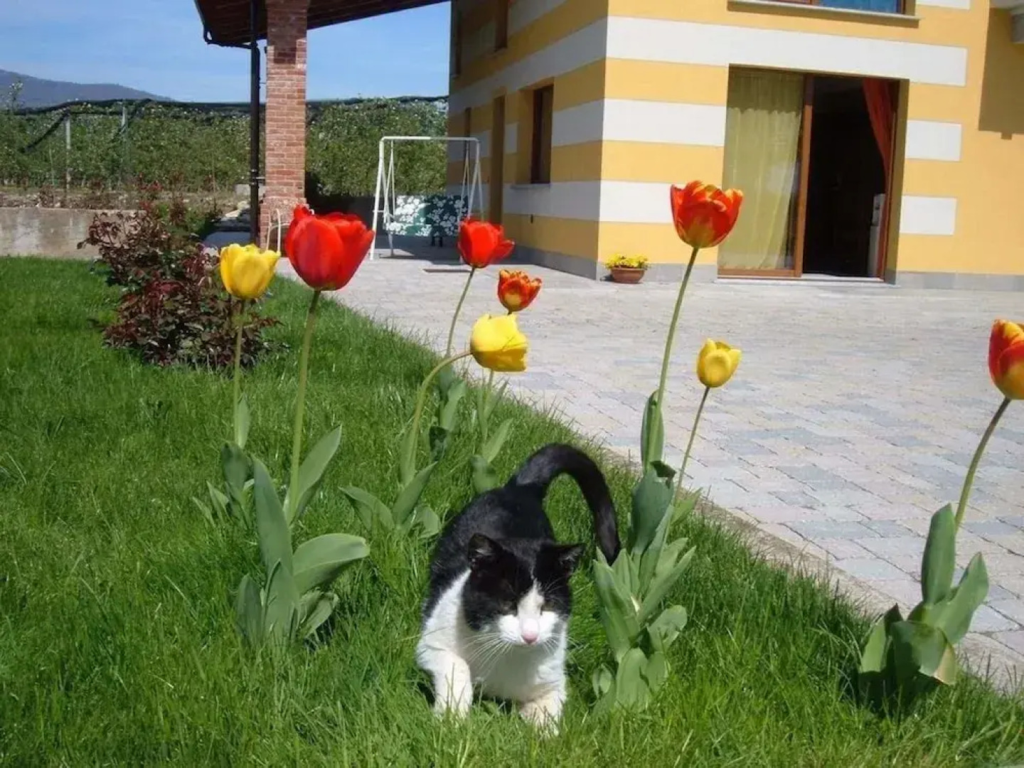 Agriturismo Fior Di Campo