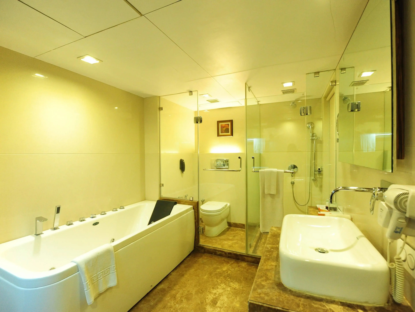 Hotel Suba Star, Ahmedabad