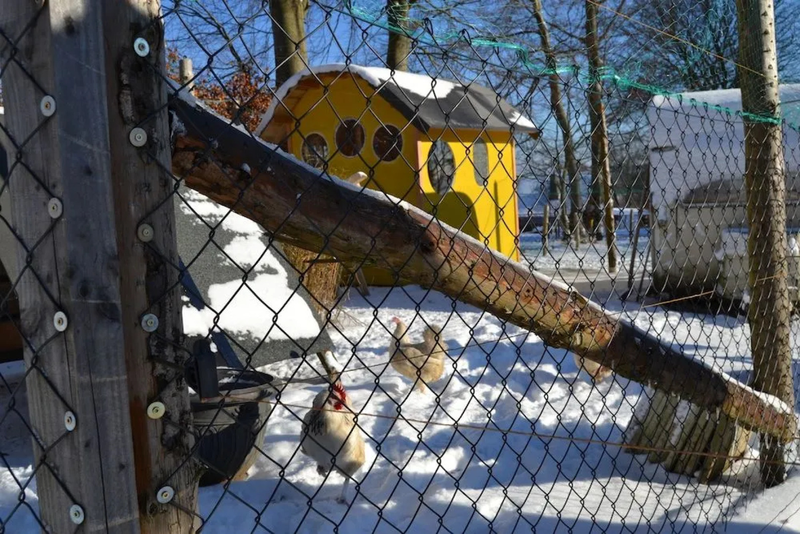 Ferien Bei Freunden Im Holzhaus